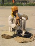 איש בהודו עם חליל וכוברה