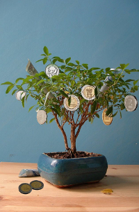 עץ בונסאי שצומחים עליו מטבעות כסף